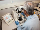 Mesothelioma Clinical Trials Test Targeted Gene Therapy