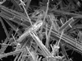 Scientists research presence of asbestos in lung tissue over time