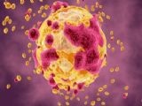 Mesothelioma Pill shows promise in controlling tumours