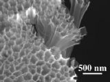 NanoFibres asbestos